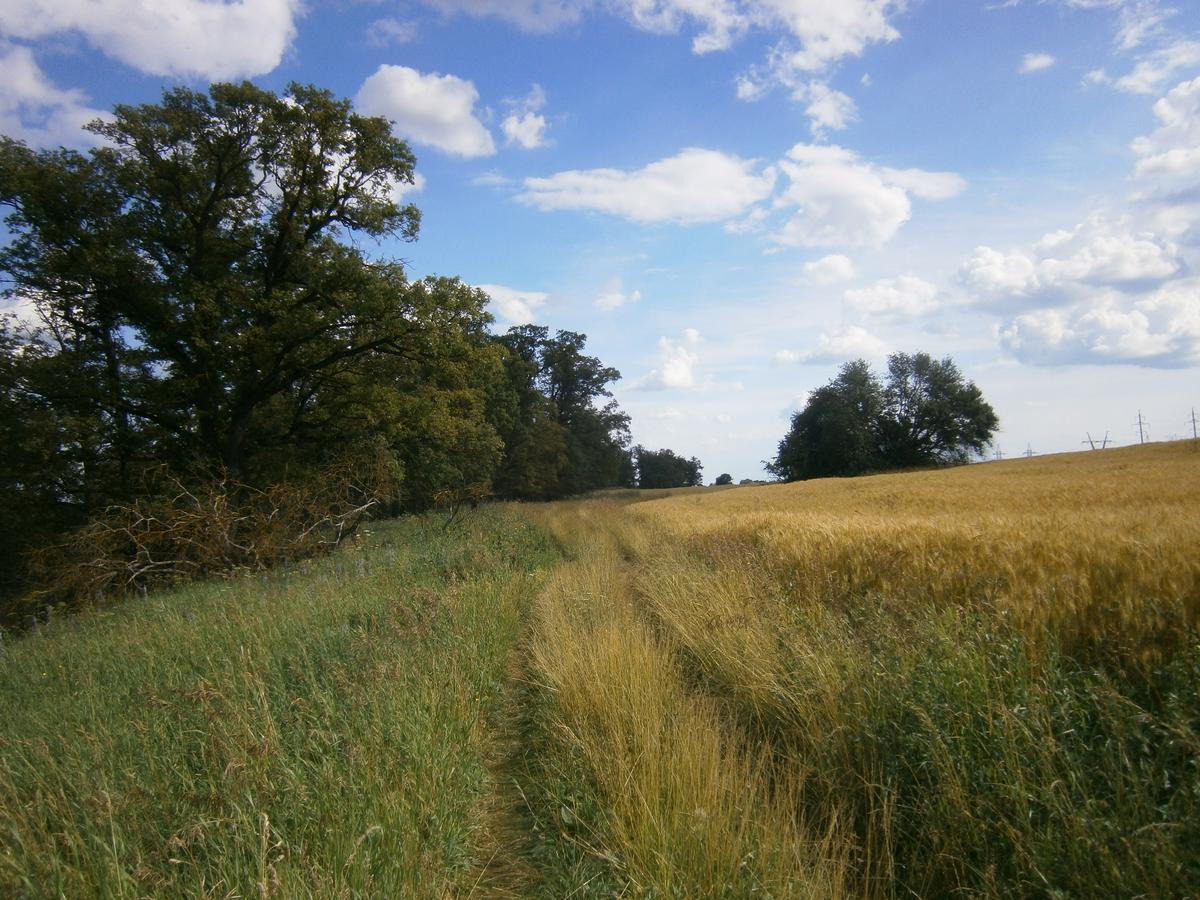 P4273443.JPG
