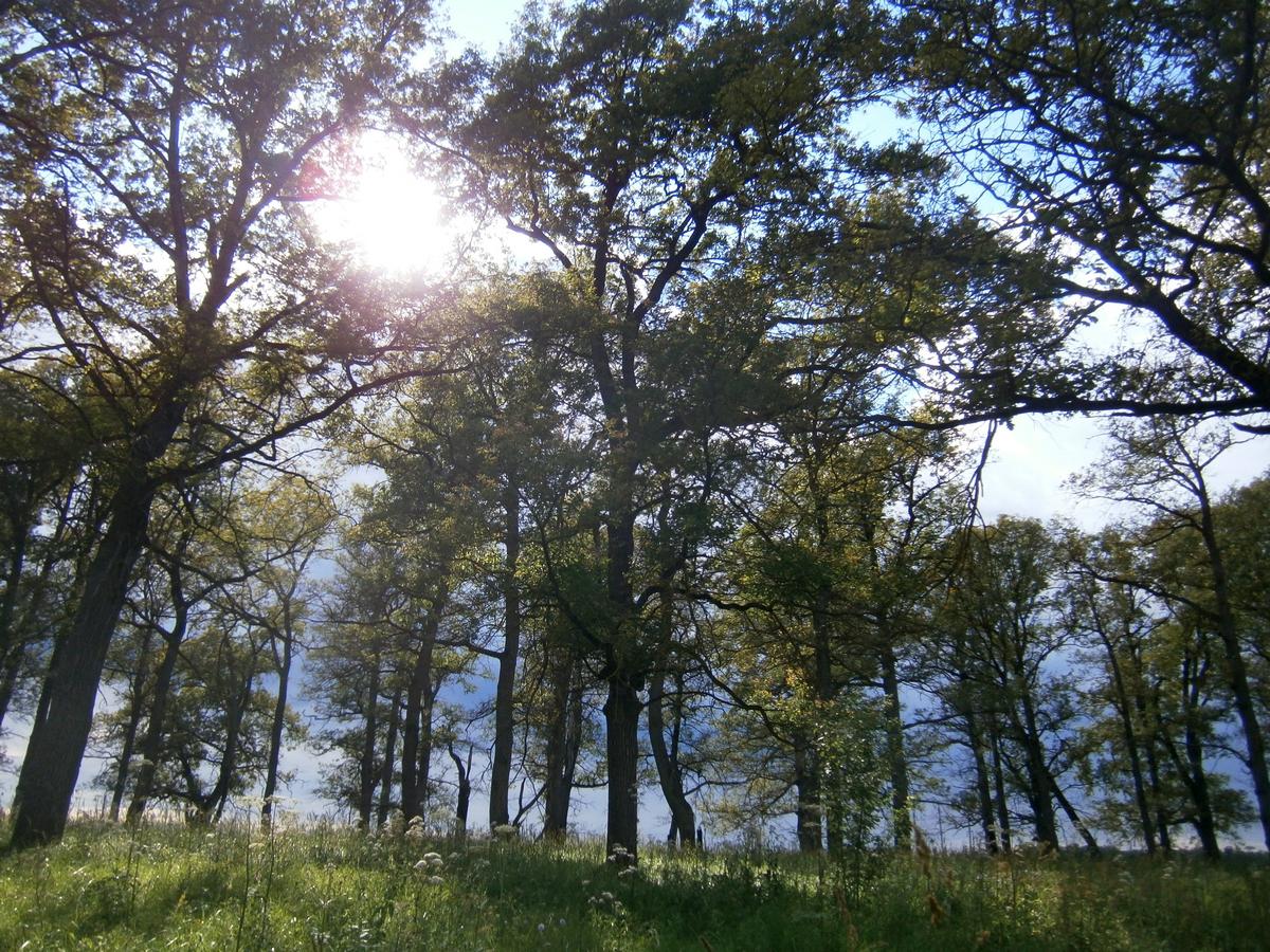 P4273446.JPG