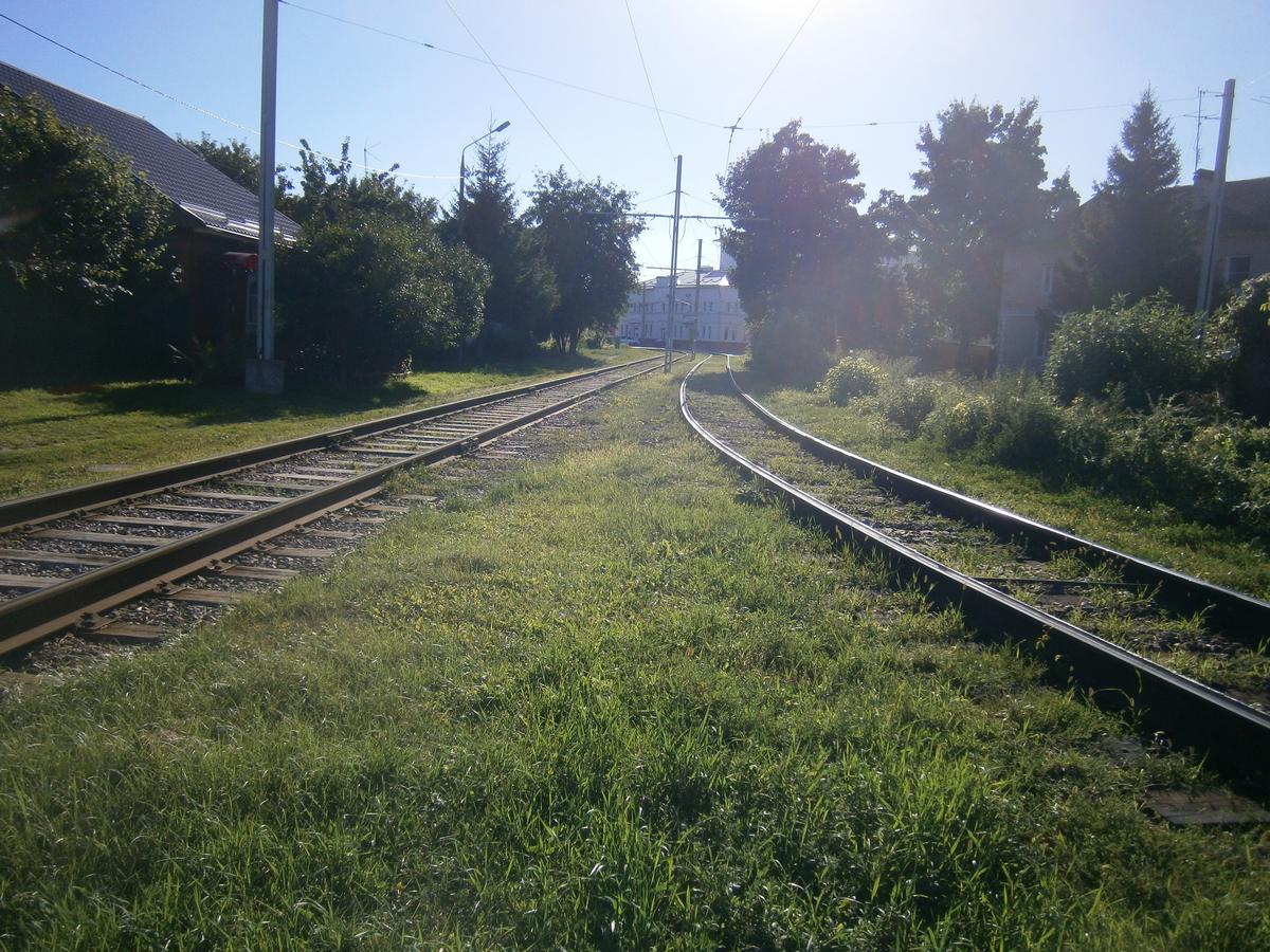 P5093523f.jpg