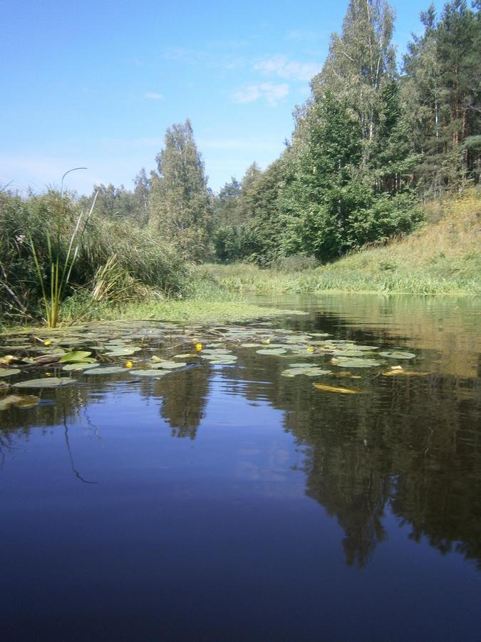 P5213561h.jpg