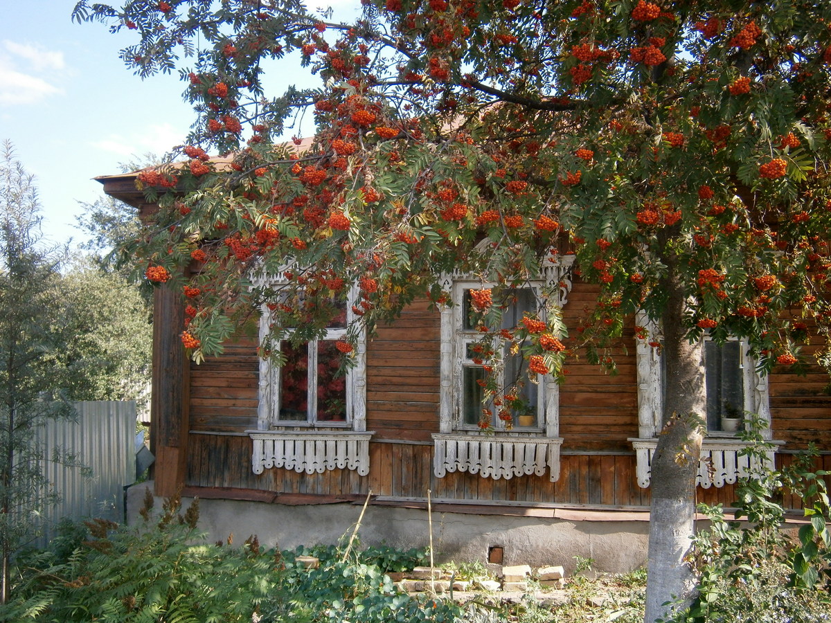 P6104420а.jpg