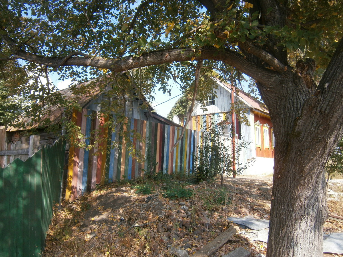 P6104432п.jpg