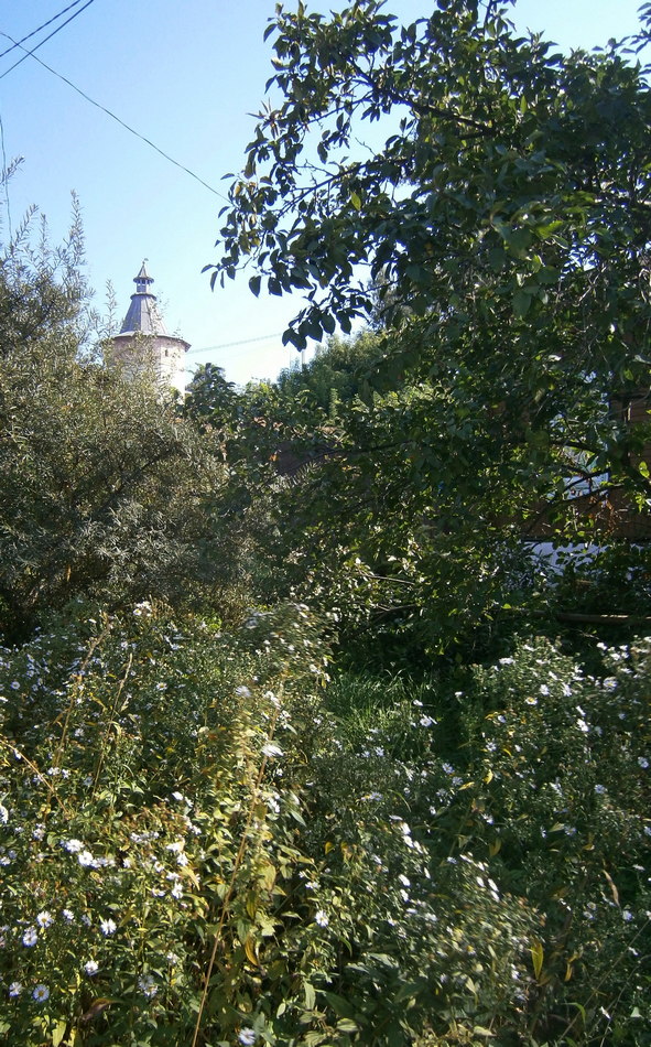 P6104434о.jpg