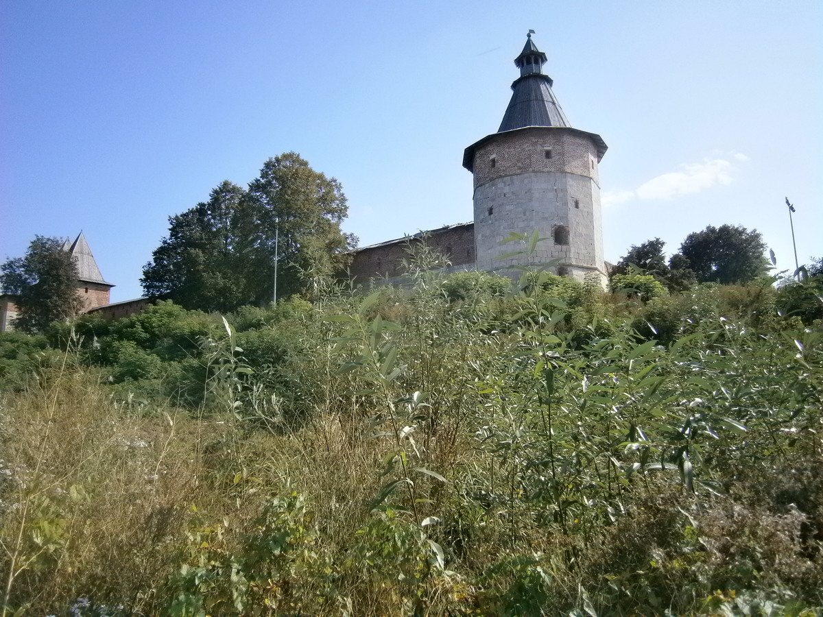 P6104436р.jpg
