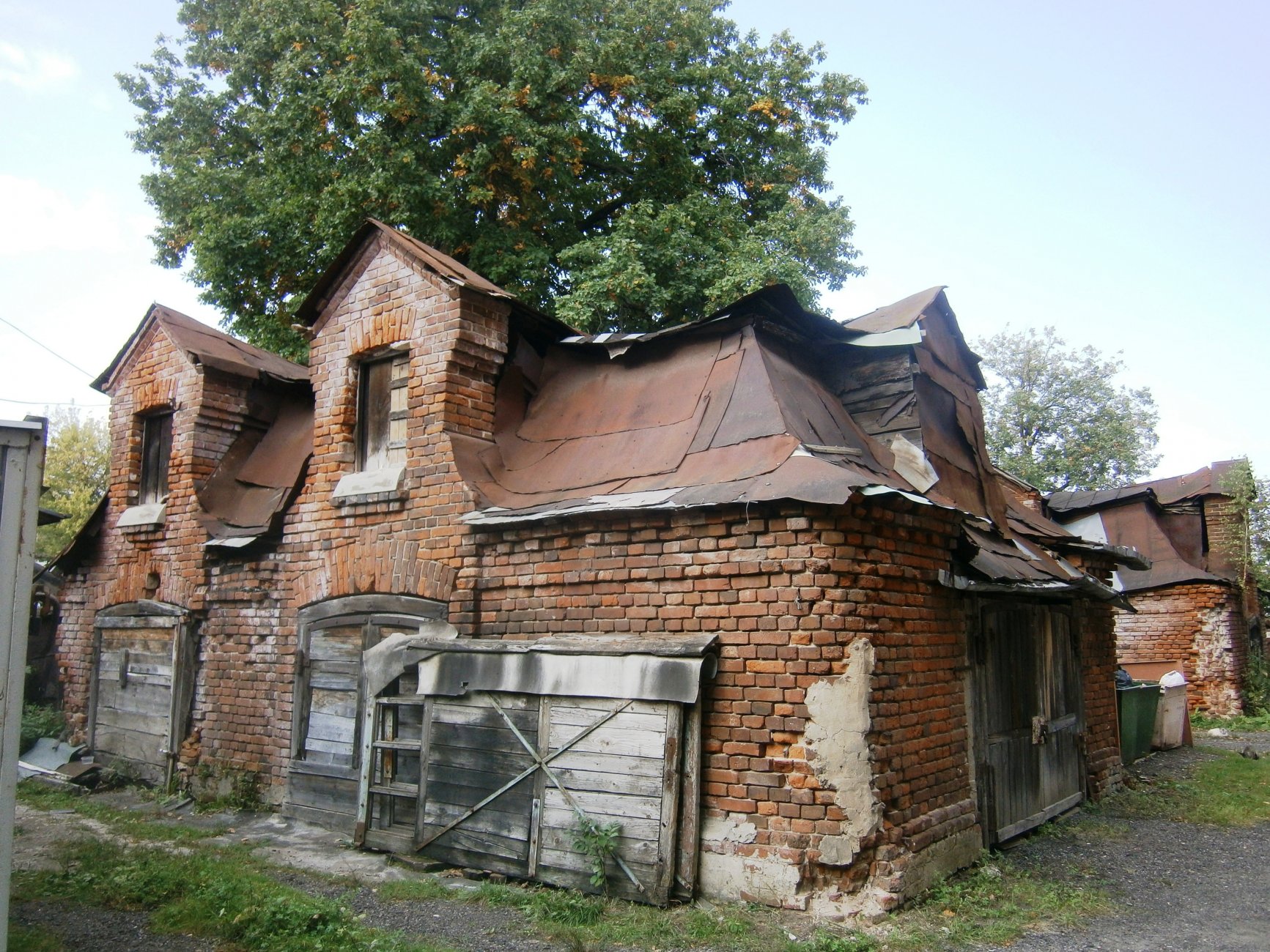 P6133627.JPG