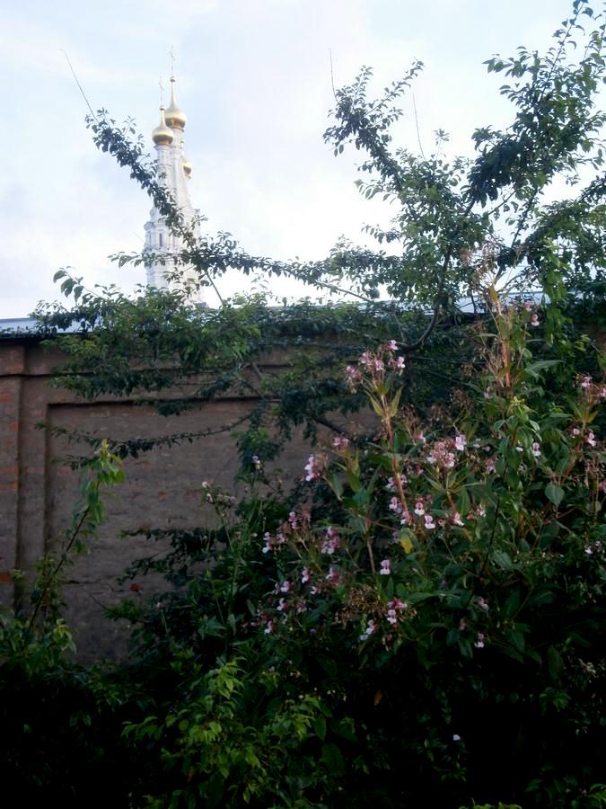 P6143749.JPG