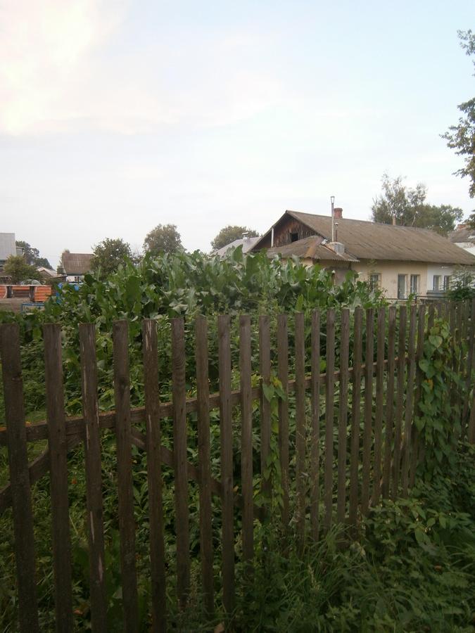 P6143764.JPG