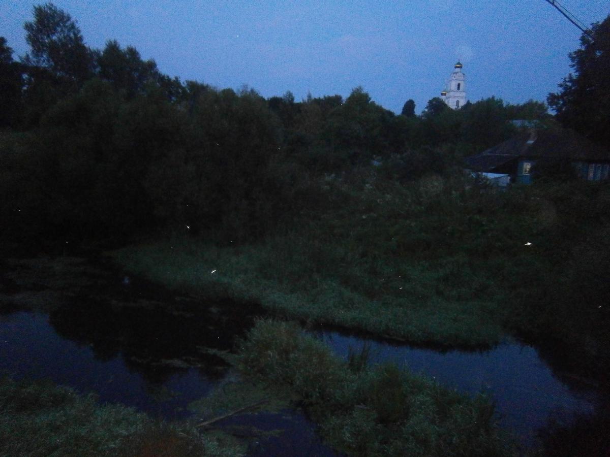 P6143765.JPG