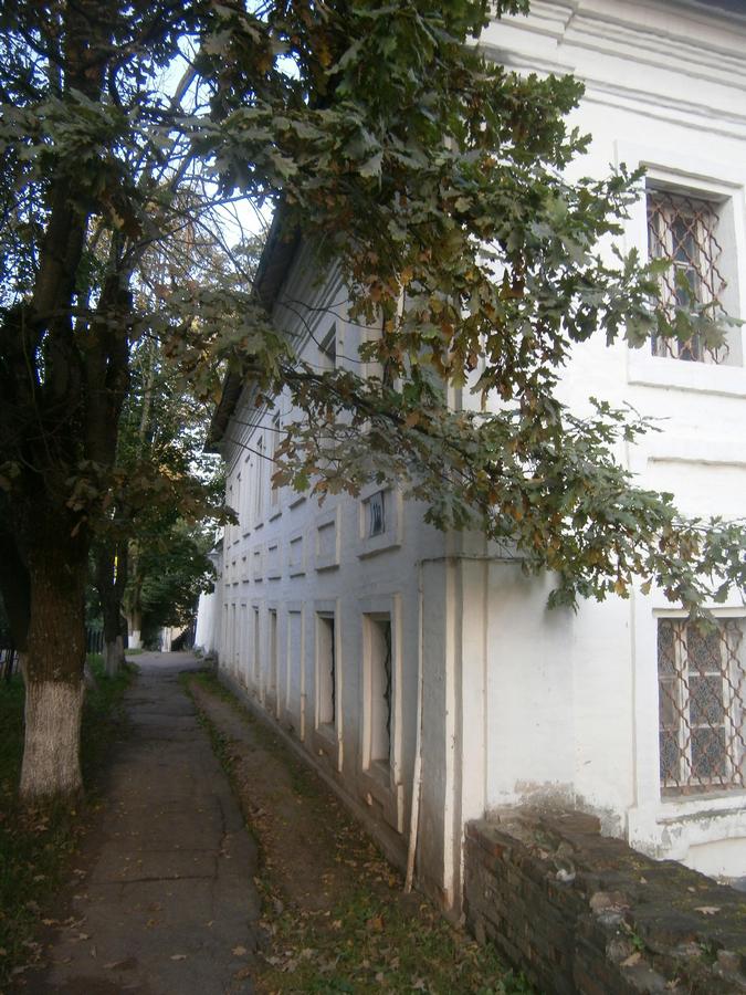 P6153777.JPG