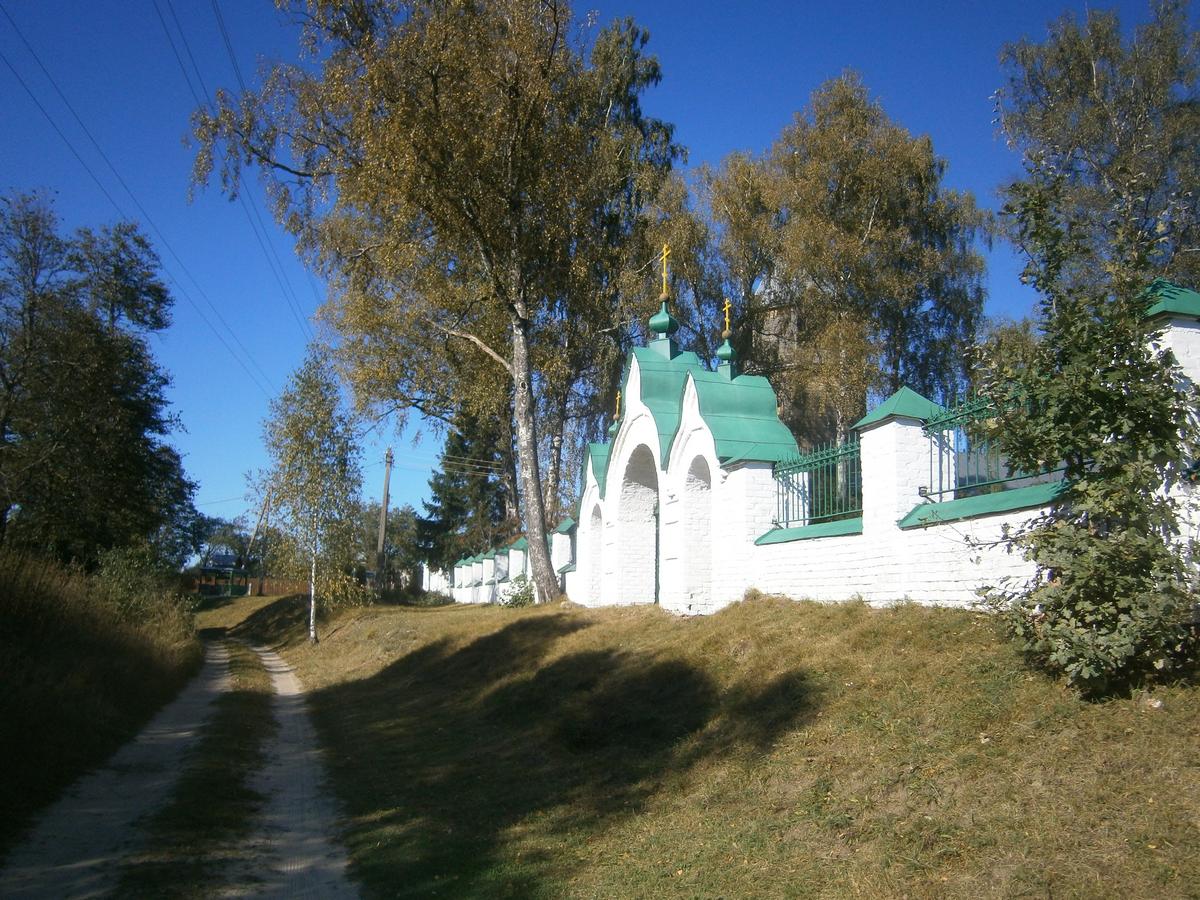 P6263822g.jpg