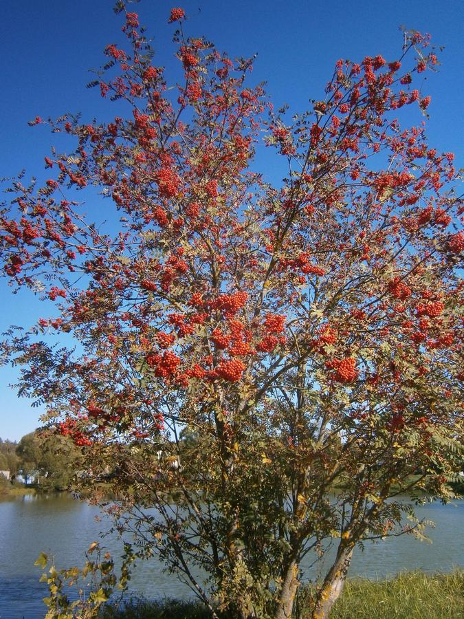 P6263829f.jpg