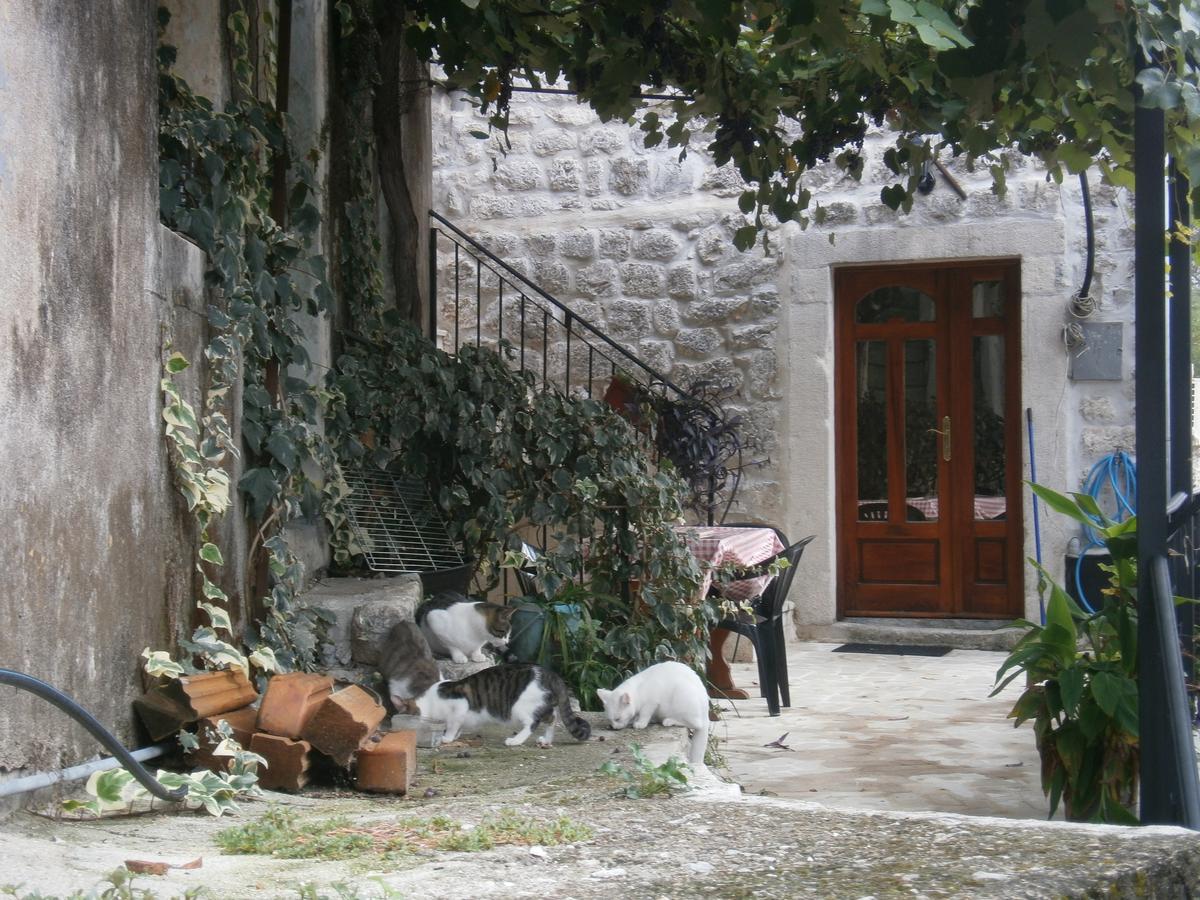 P7120177.JPG