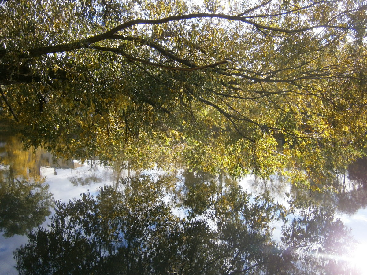 P7133914р.jpg