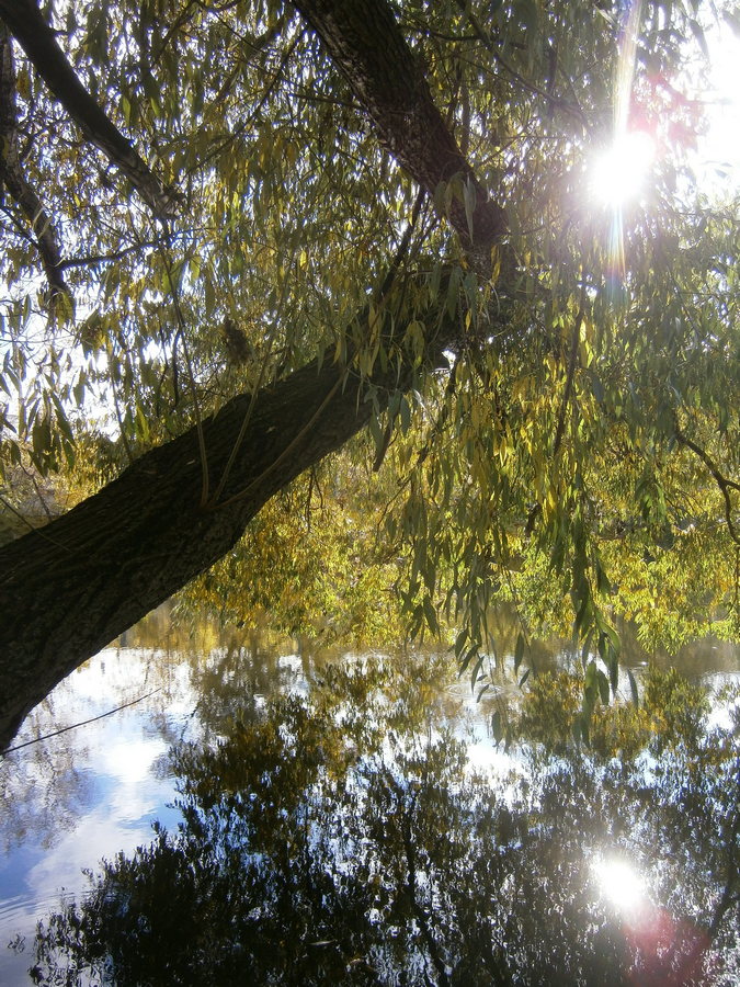 P7133917р.jpg