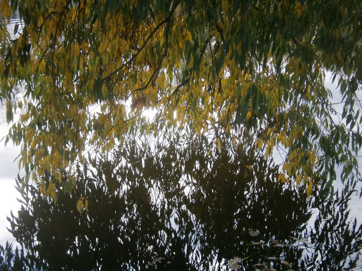 P7133929п.jpg