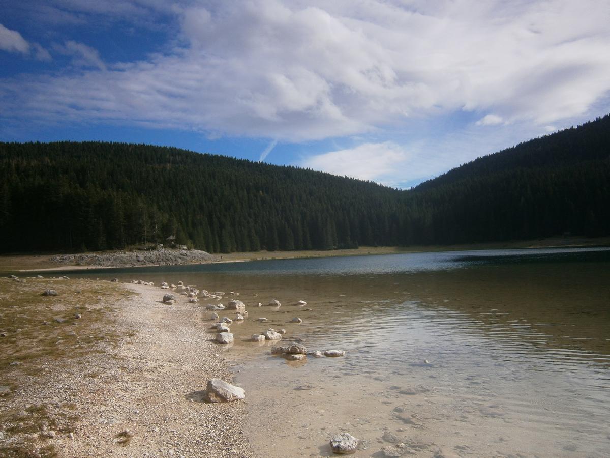 P7160433.JPG