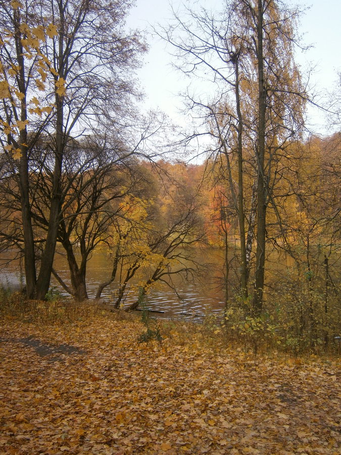 P7203954п.jpg