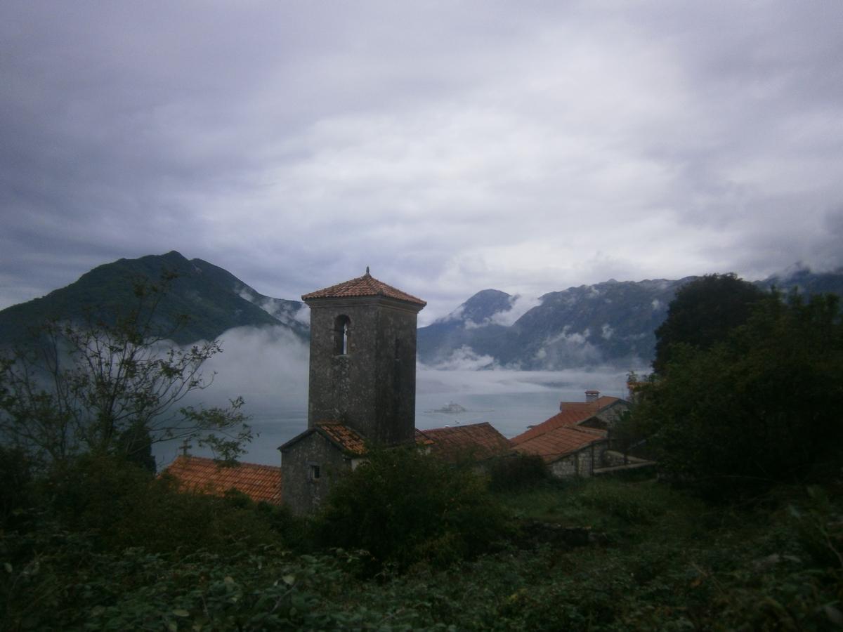 P7231032.JPG