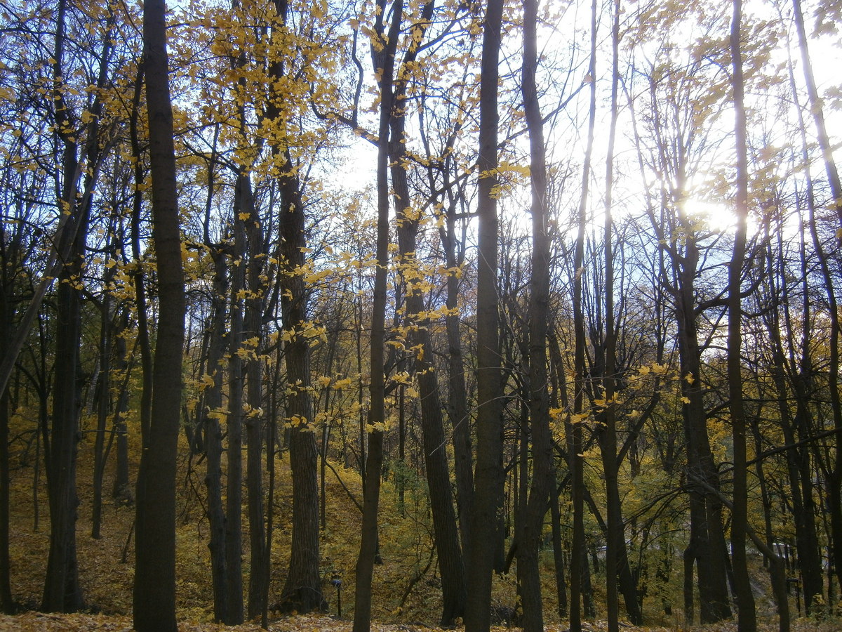 P7234007р.jpg