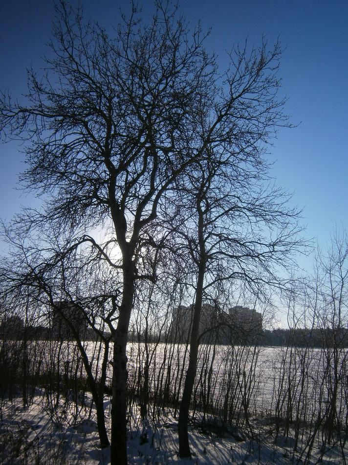P8262533h.jpg