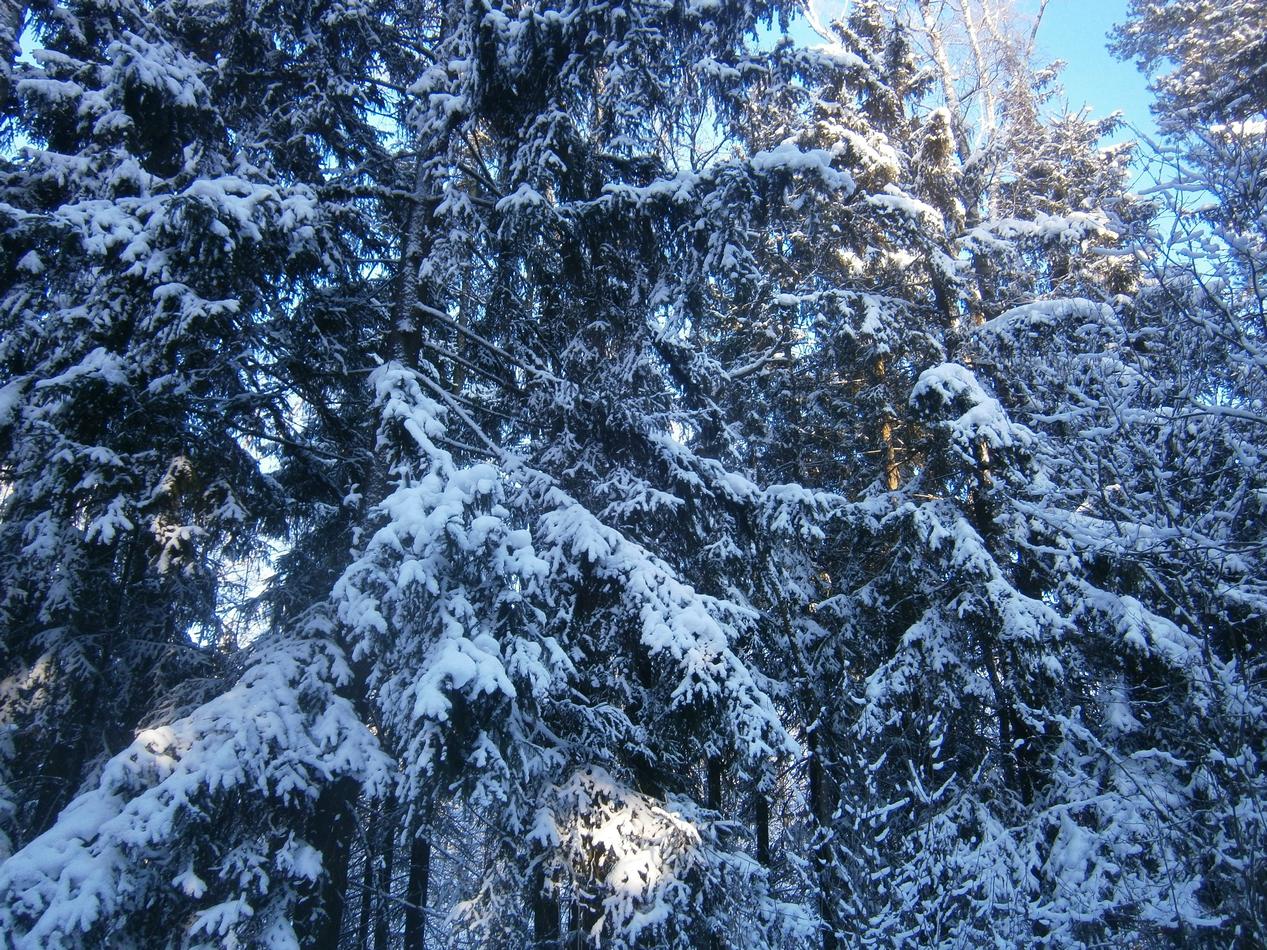 P9182699g.jpg