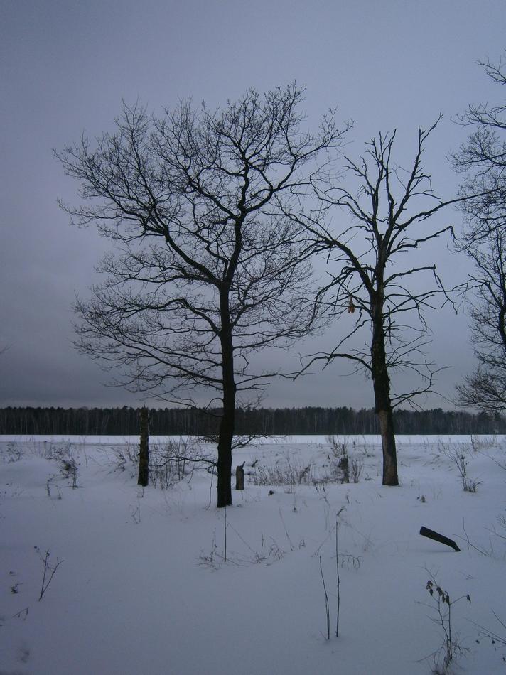 P9232711g.jpg