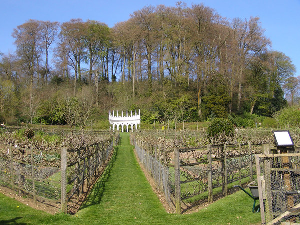 painswick_rococo_garden_large.jpg