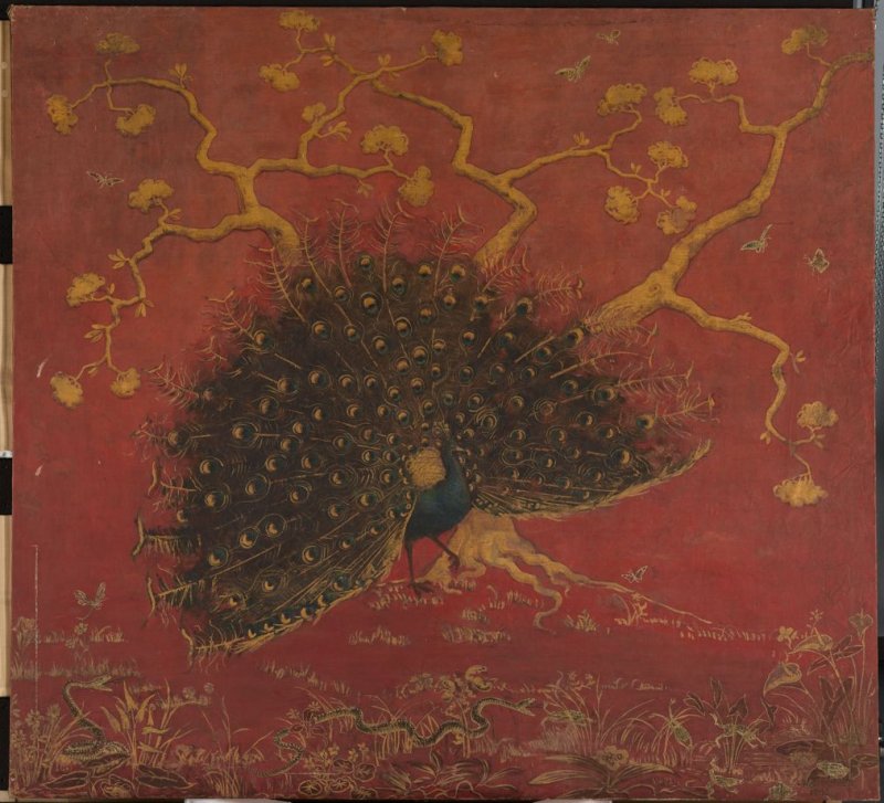 peacock 4.jpg