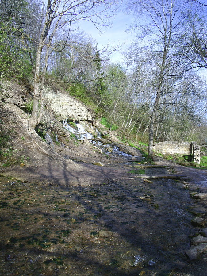 PIC_0008п.jpg