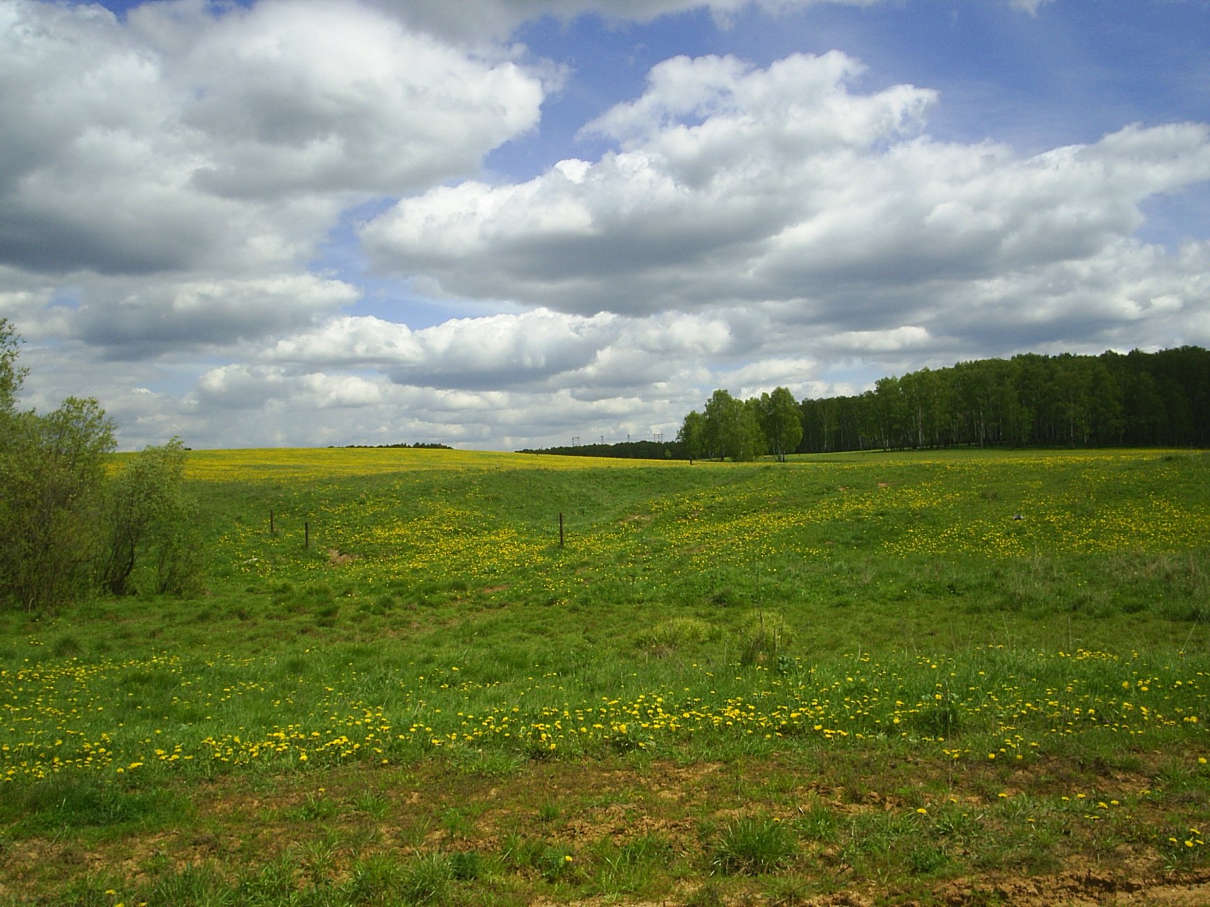 PIC_0014.JPG
