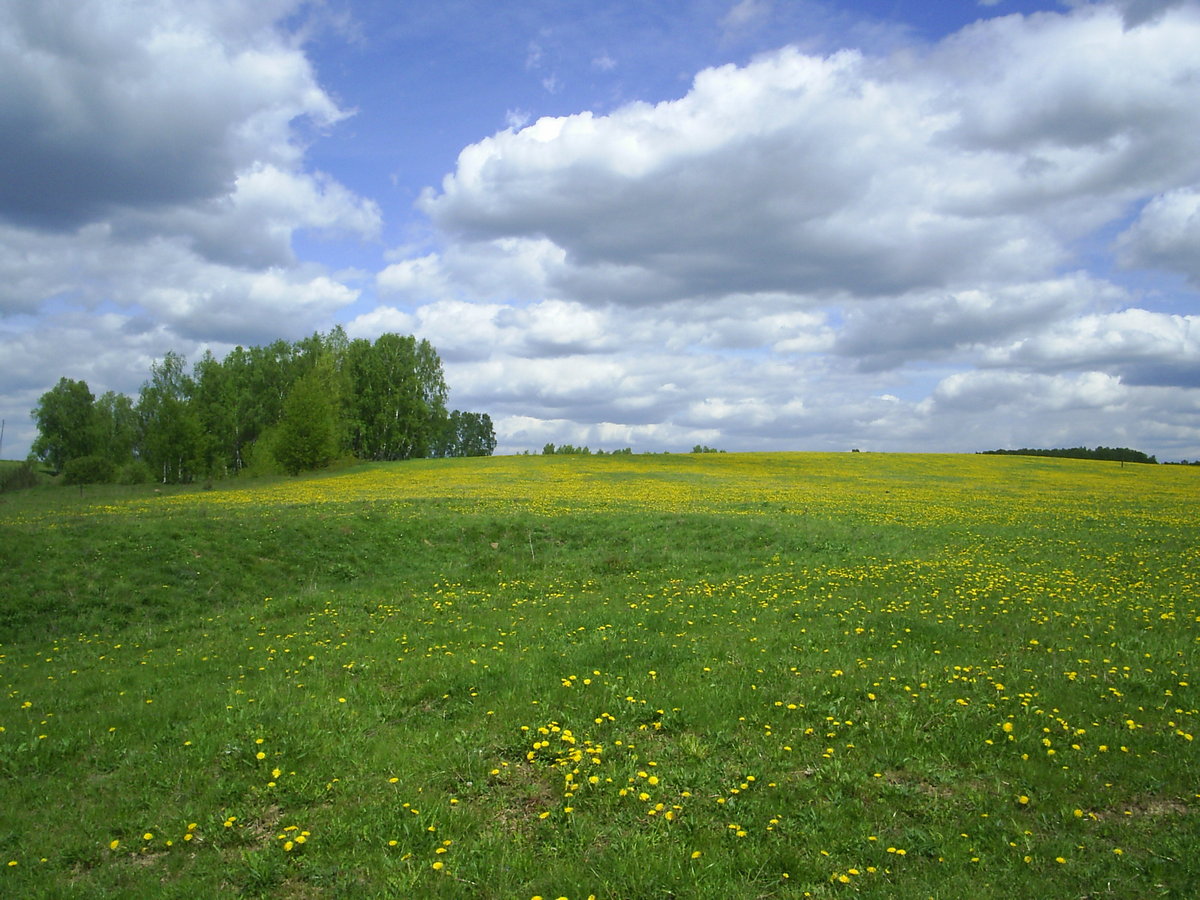 PIC_0016п.jpg