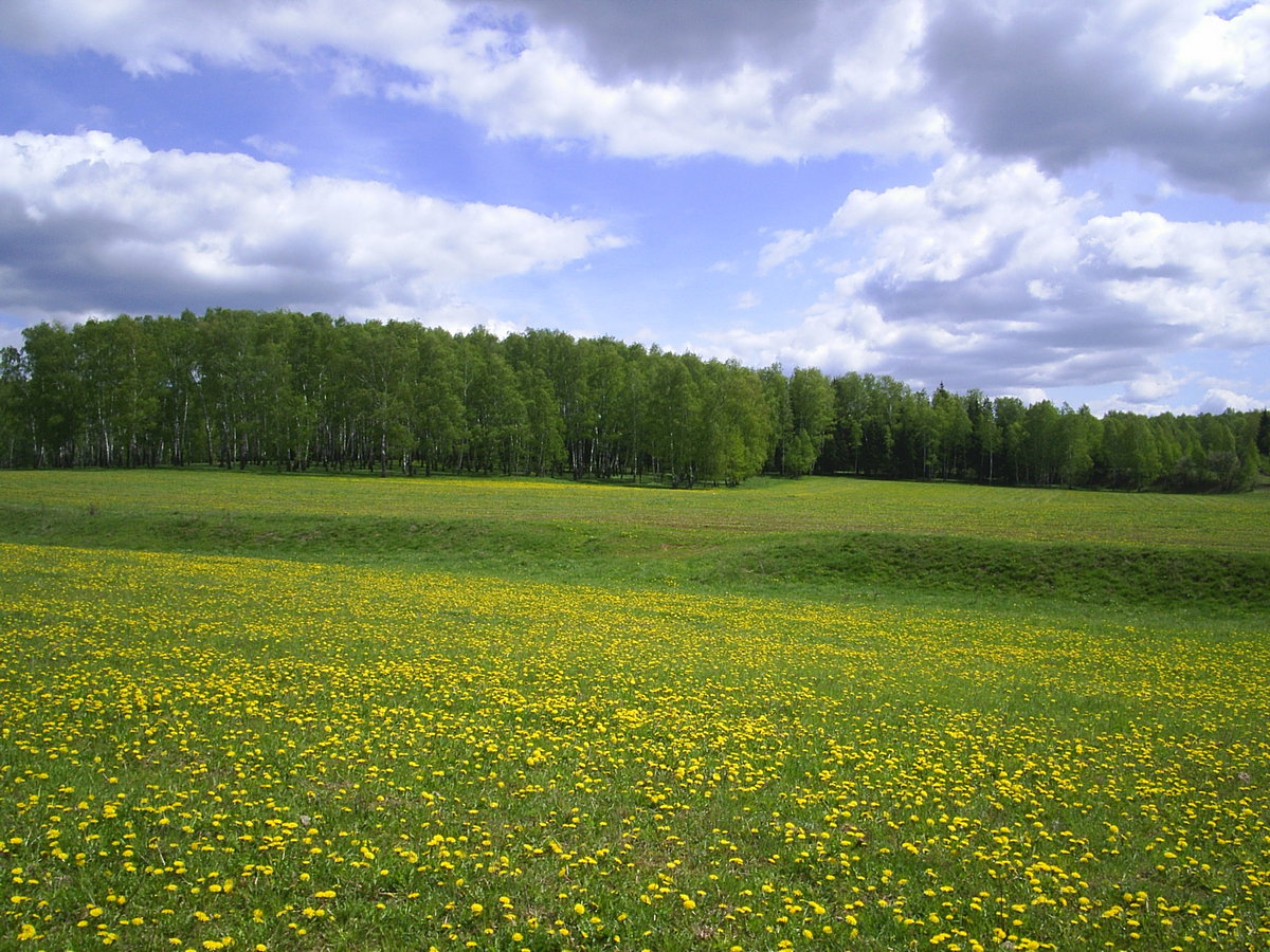 PIC_0022п.jpg