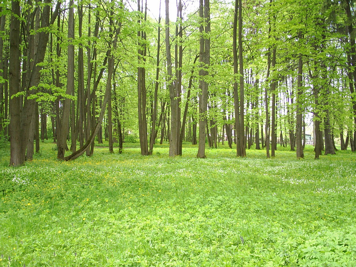 PIC_0034п.jpg