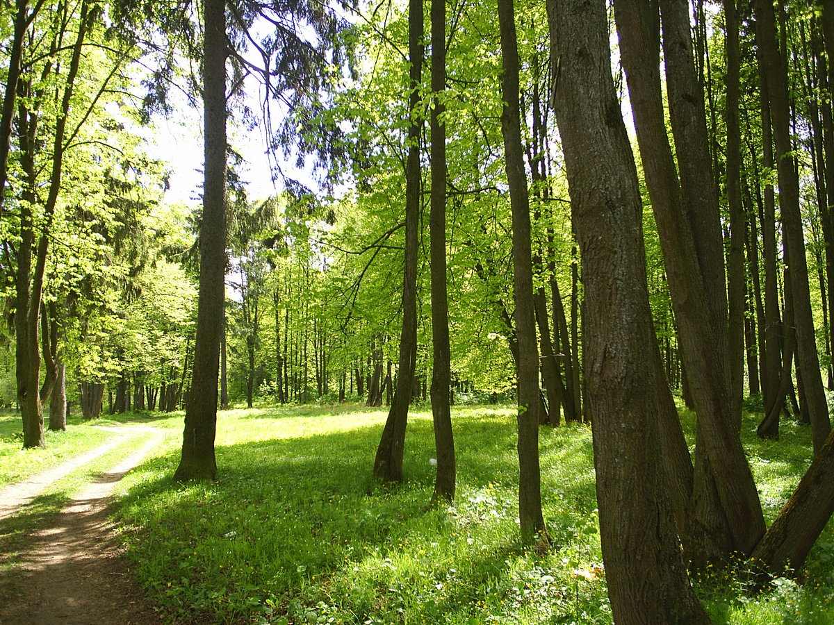 PIC_0039п.jpg