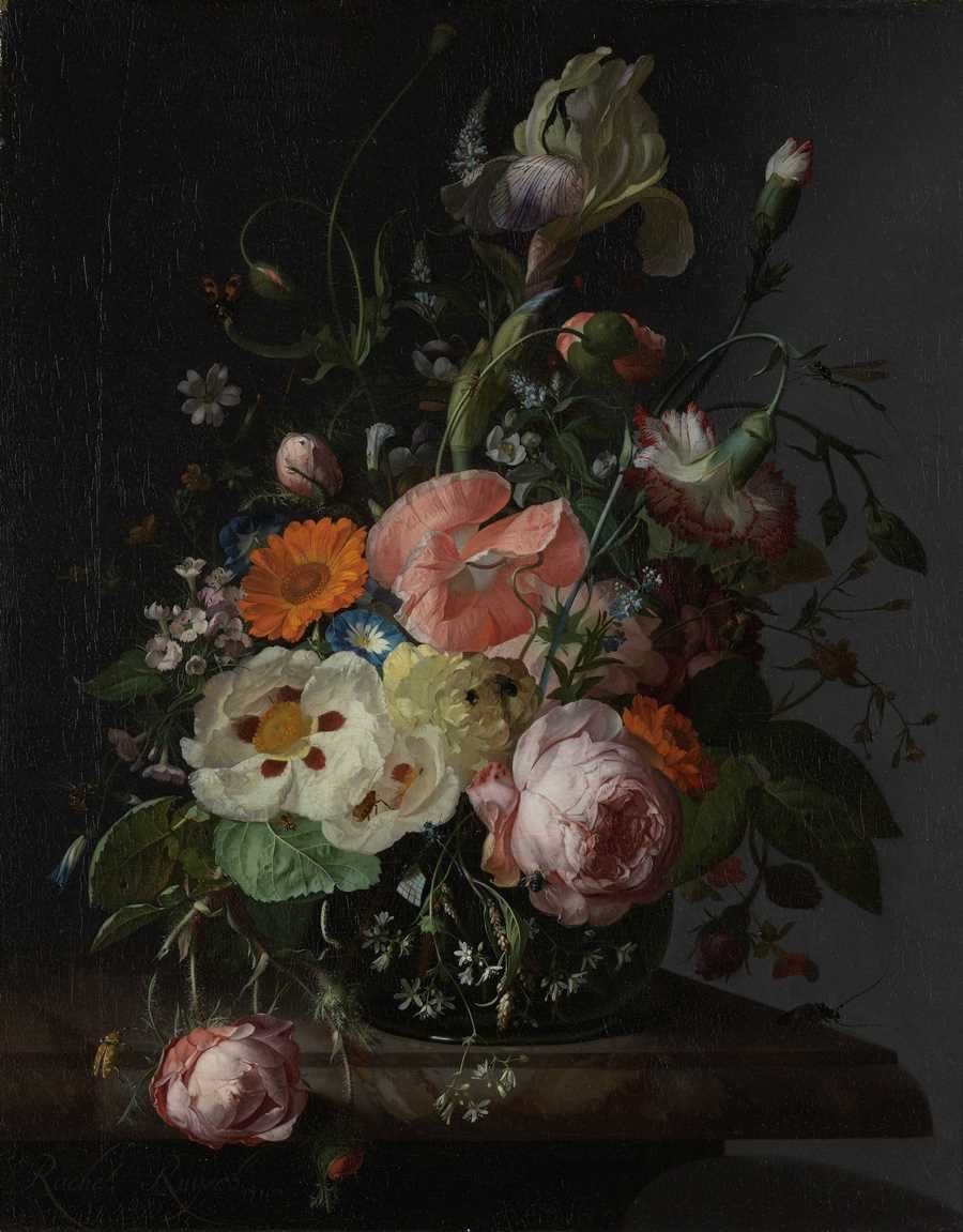 Rachel Ruysch2k5n9rhvu4.jpg