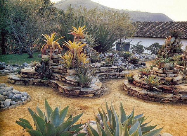 roberto-burle-marx.jpeg