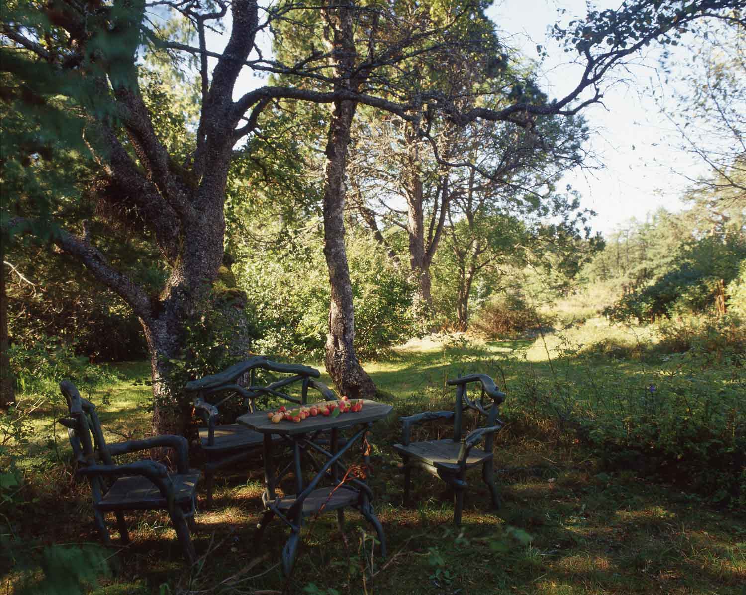 Sarvilinna-puutarha-0.jpg