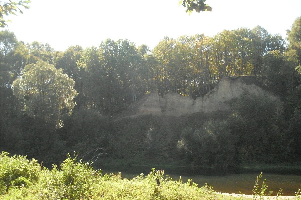 SDC10516.JPG