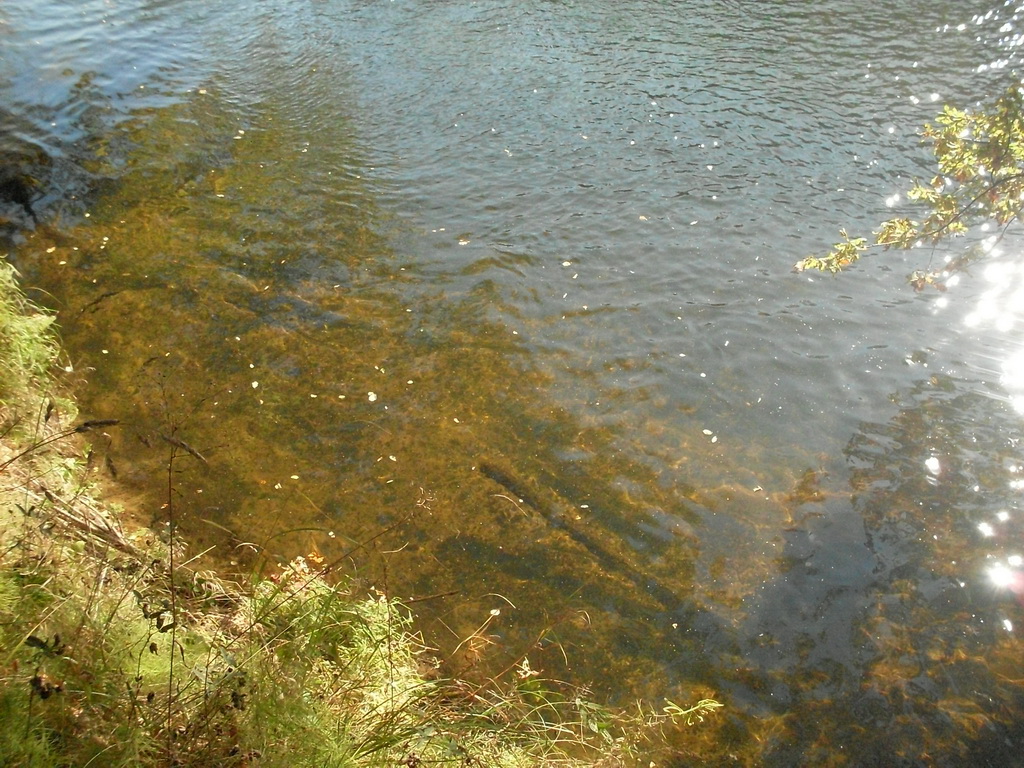 SDC10539.JPG