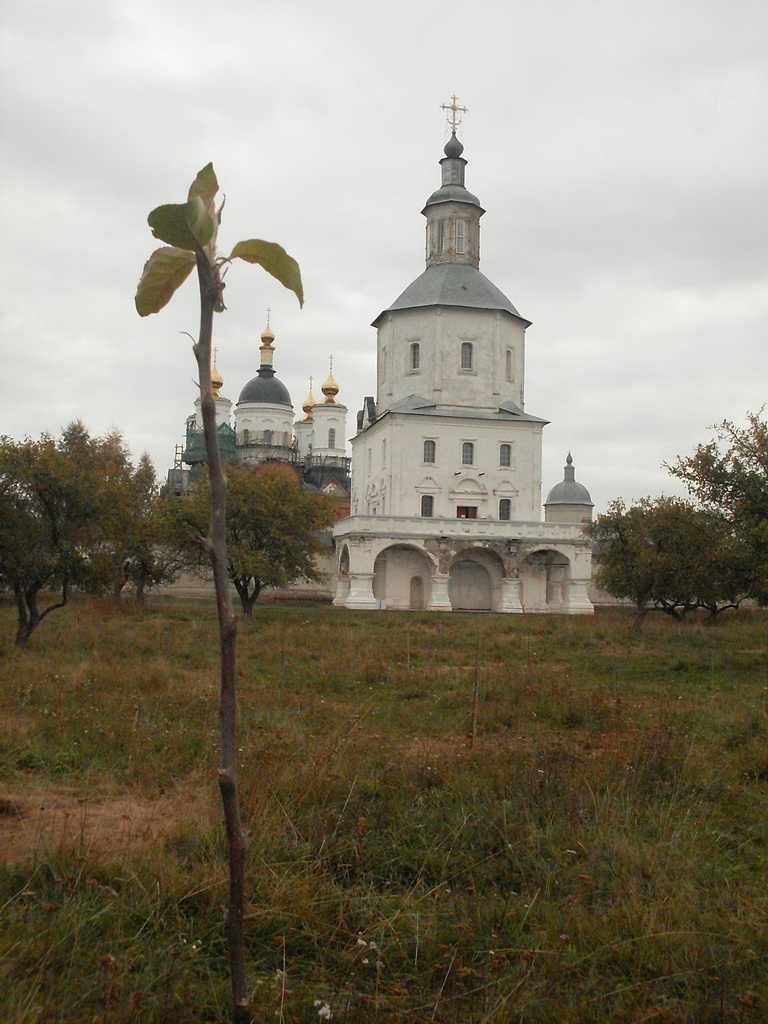 SDC10610.JPG