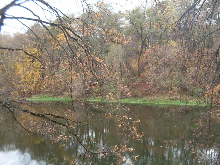 SDC10696.JPG