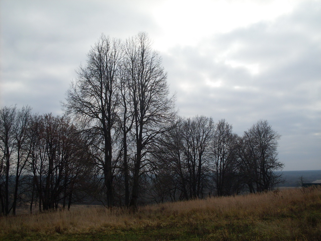 SDC10728.JPG