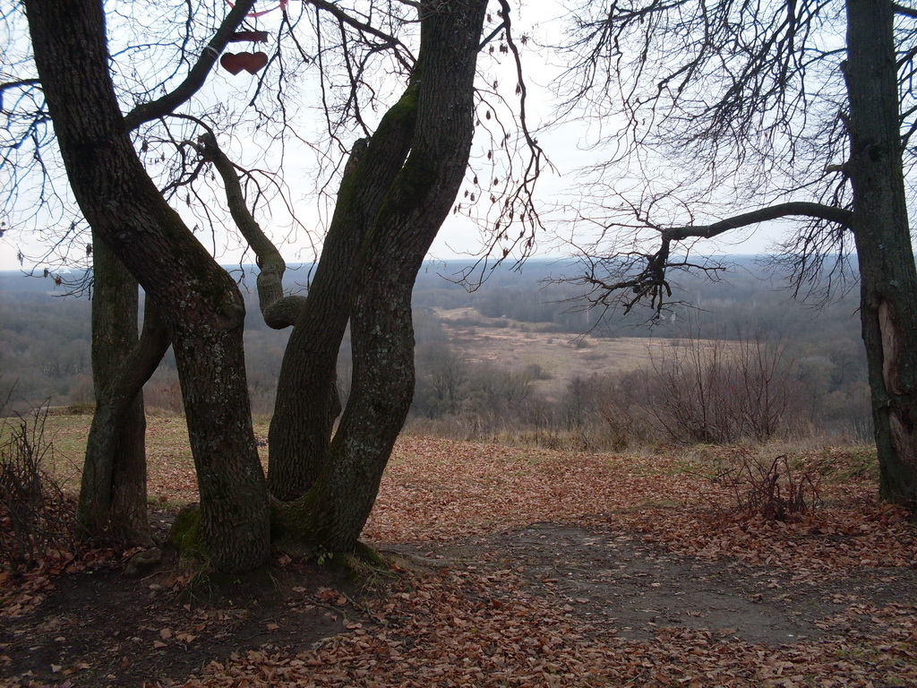 SDC10734.JPG