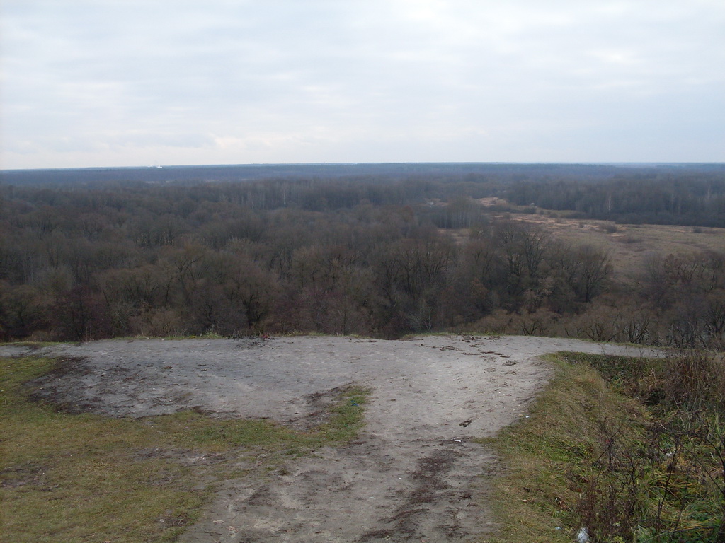 SDC10746.JPG