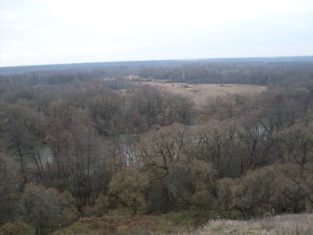 SDC10748.JPG