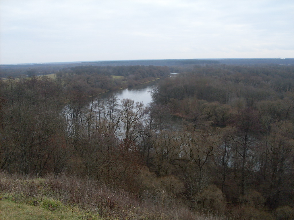 SDC10751.JPG