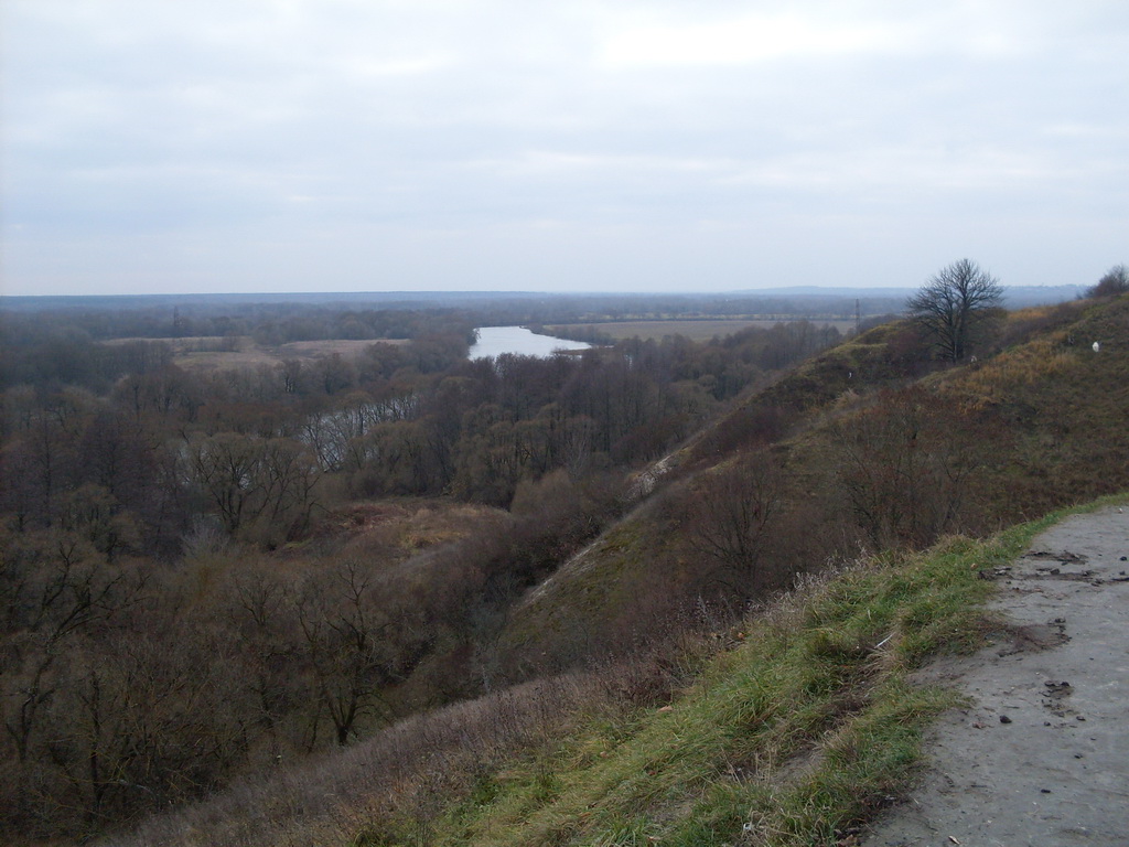 SDC10752.JPG