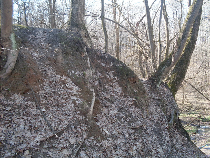 SDC10932.JPG