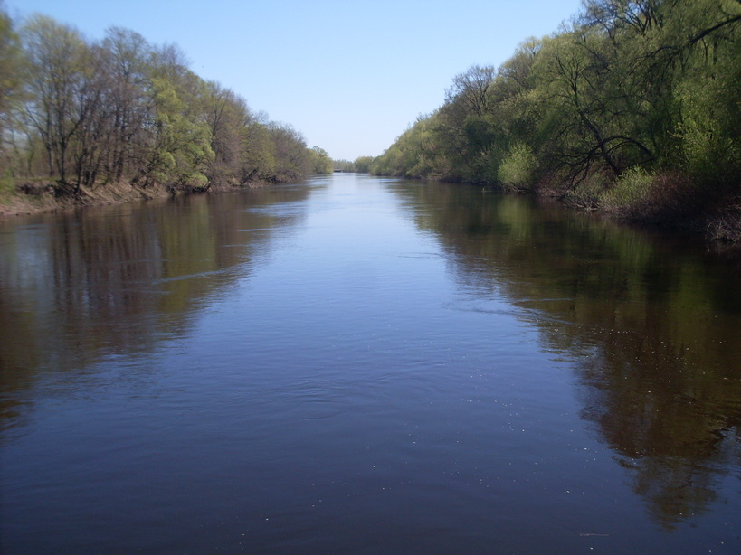 SDC11087.JPG