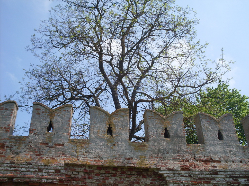 SDC11143.JPG